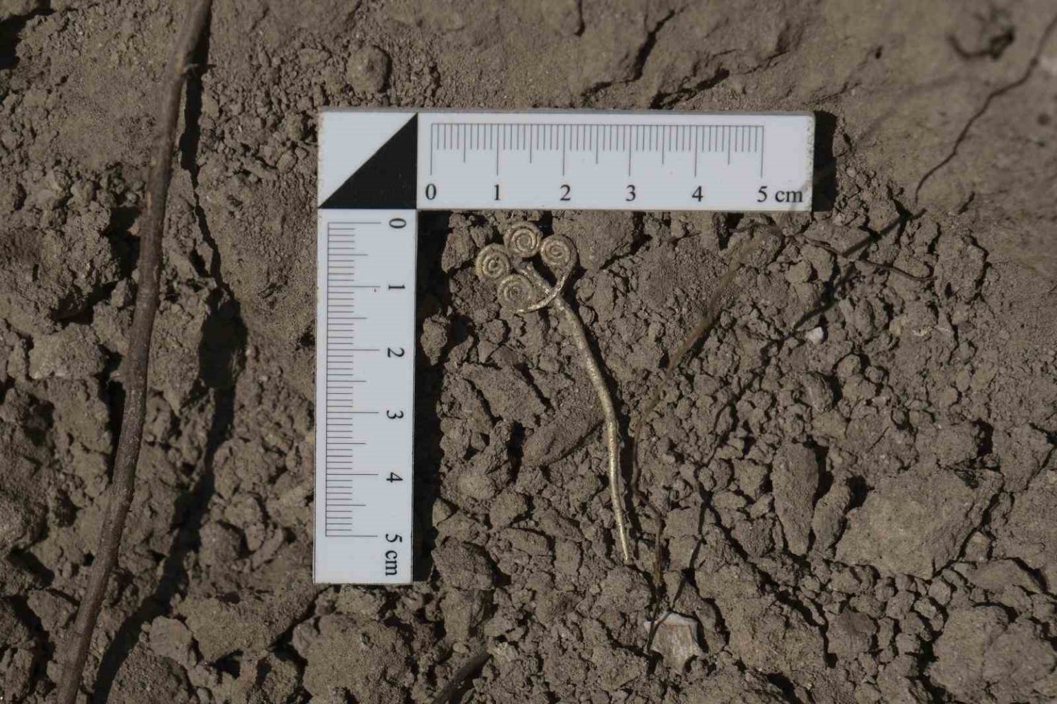 troyada-4-bin-500-yillik-altin-bros-ve-ender-yesim-tasi-gun-isigina-cikarildi