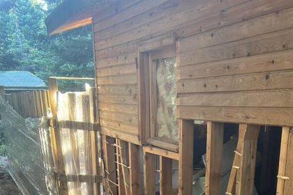 uludagda-ayilar-barakalara-girdi-ortalik-darmadagin-oldu