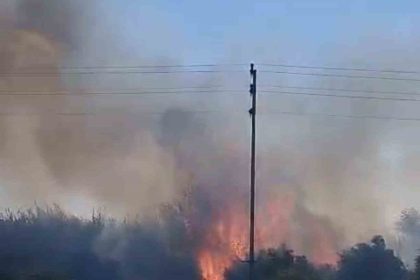 zamaninda-mudahale-yanginin-bahcelere-sicramasini-onledi