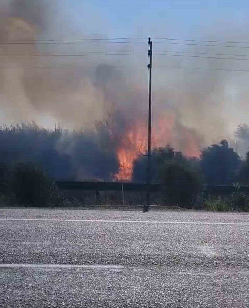 zamaninda-mudahale-yanginin-bahcelere-sicramasini-onledi