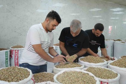 antep-fistigina-ithalat-izni-cikicinca-fiyatlar-ve-satislar-dustu