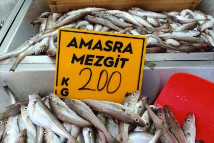balikcilar-palamut-icin-kestane-karasini-bekliyor