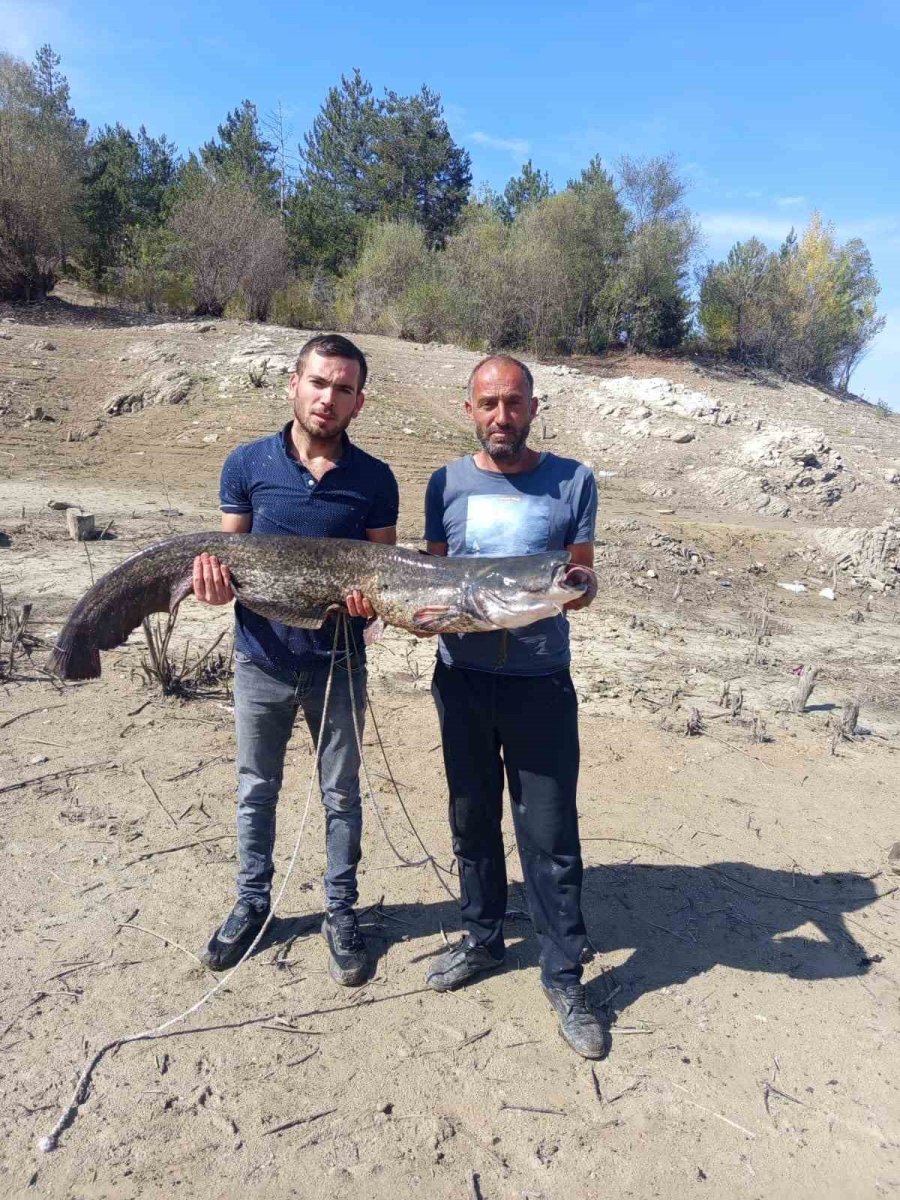 baraj-golunde-dev-yayin-baligi-yakaladilar