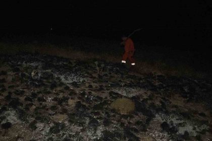 corumda-arazi-yanginin-ormana-sicramasini-ekipler-onledi