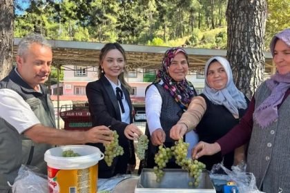 iklime-direncli-ormancilik-projesi