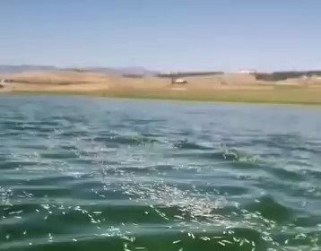 kahramanmarasta-balik-olumleri