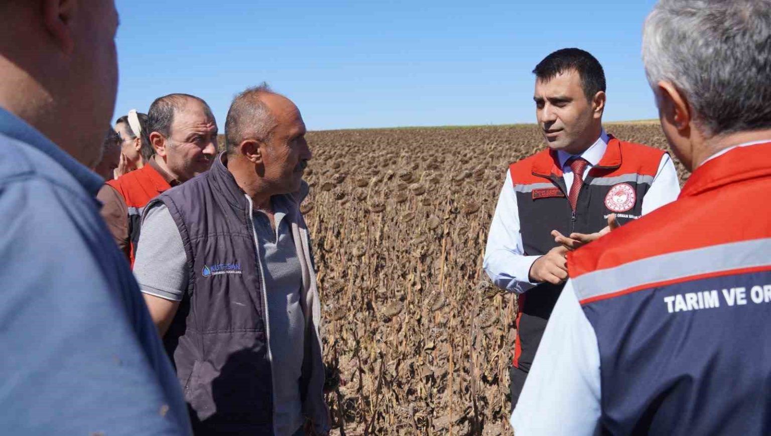 tokatta-39-bin-dekar-alanda-19-tona-yakin-aycicegi-tohumu-ekildi