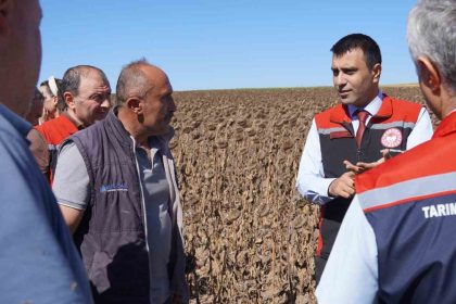 tokatta-39-bin-dekar-alanda-19-tona-yakin-aycicegi-tohumu-ekildi