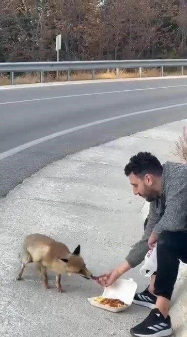 uludag-yolunda-sira-disi-karsilasma