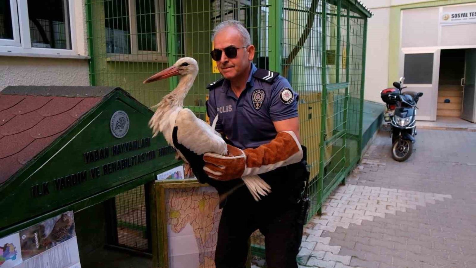 yol-kenarinda-bulunan-yarali-leylek-koruma-altina-alindi