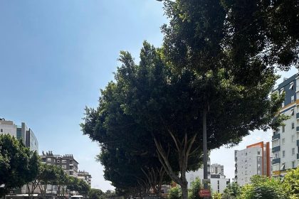 antalyada-son-1-haftada-16-bin-155-arac-ve-surucusune-ceza-kesildi