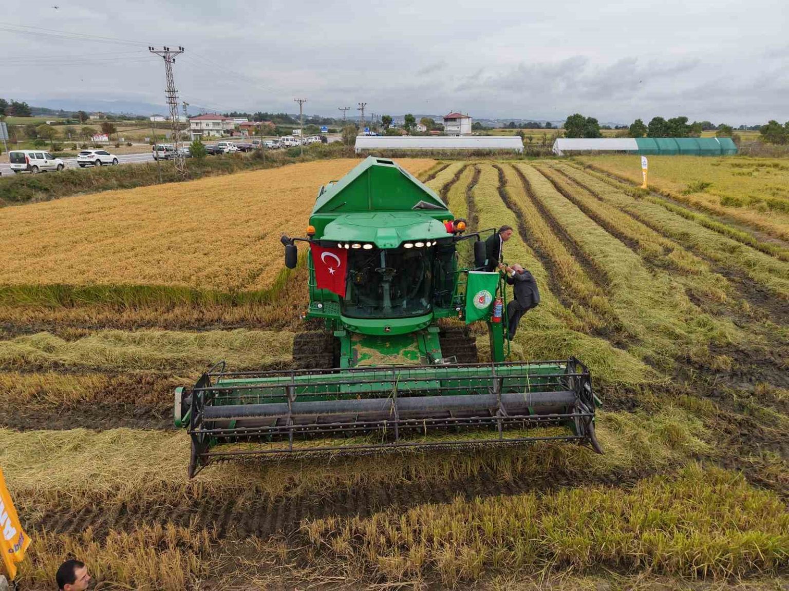 bafra-ovasinda-celtik-hasadi-basladi