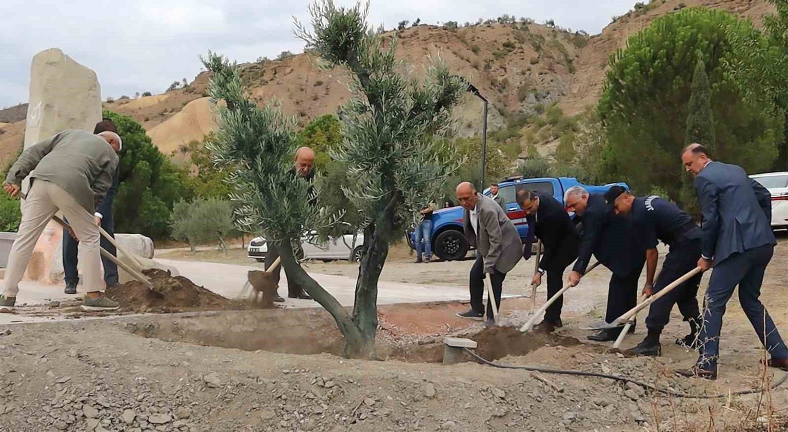 baltaci-mehmet-pasa-anisina-asirlik-zeytin-agaci-dikildi
