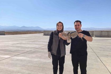 bitkin-halde-bulunan-yarali-delice-dogan-tedavi-altina-alindi