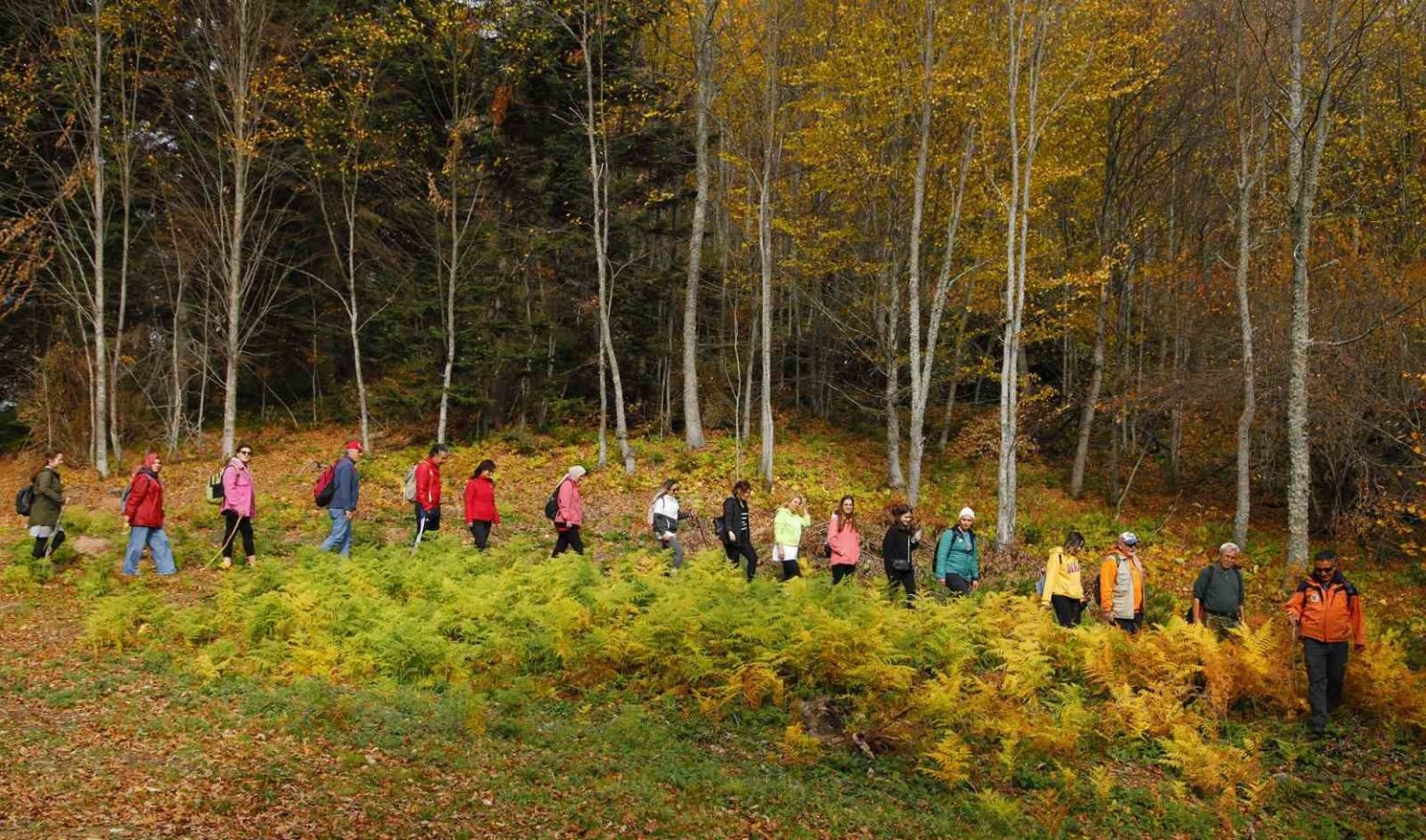 doga-tutkunlari-yuruyuslere-basliyor