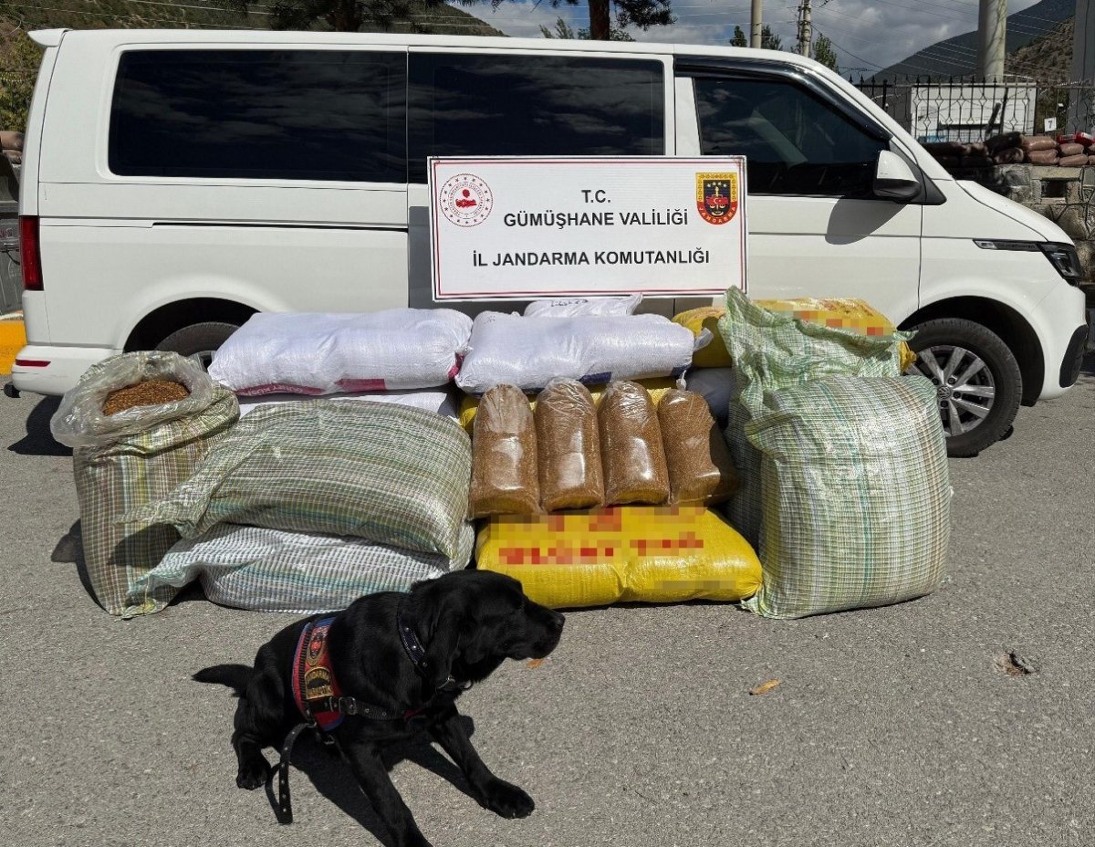 gumushanede-kacak-tutun-operasyonu-530-kilo-tutun-ele-gecirildi