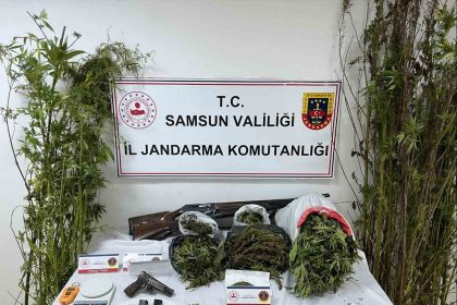 jandarmadan-uyusturucu-operasyonu-esrar-kenevir-ve-silah-ele-gecirildi