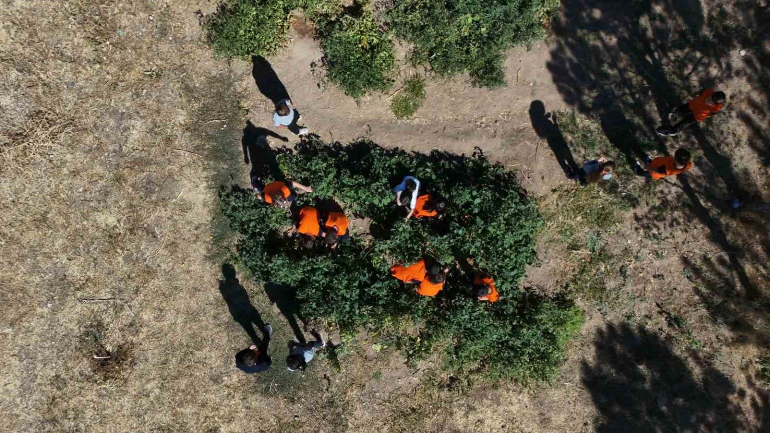 kayseride-ilkokul-ogrencileri-meyve-bahcelerinde-uretim-yapiyor