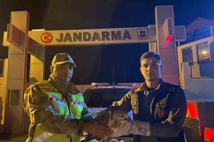 kizil-sahin-emin-ellerde