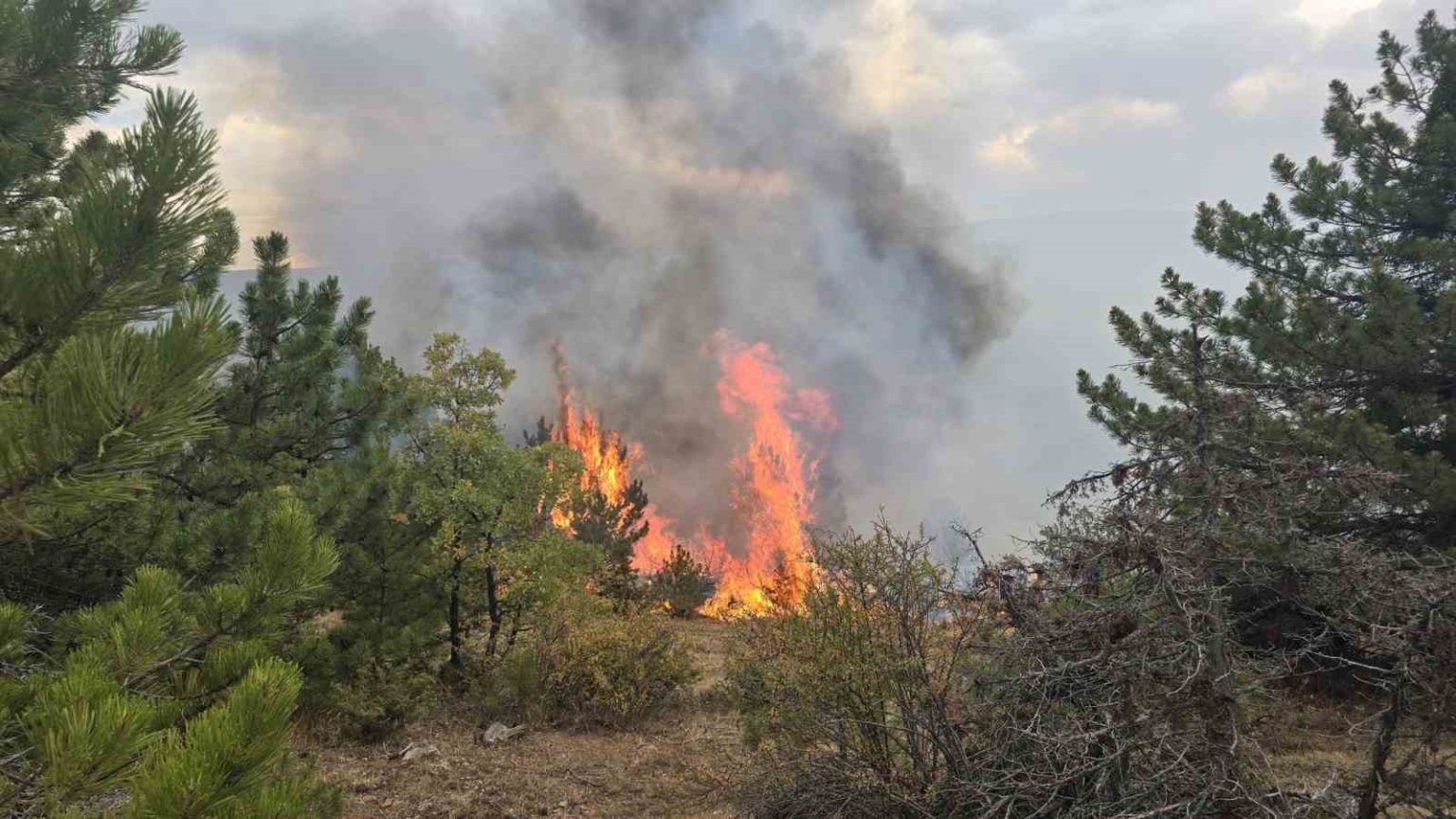 konyada-ormanlik-alanda-cikan-yangin-sonduruldu