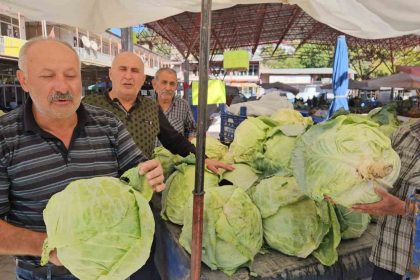 malatyada-gokyar-lahanasinda-hasat-zamani