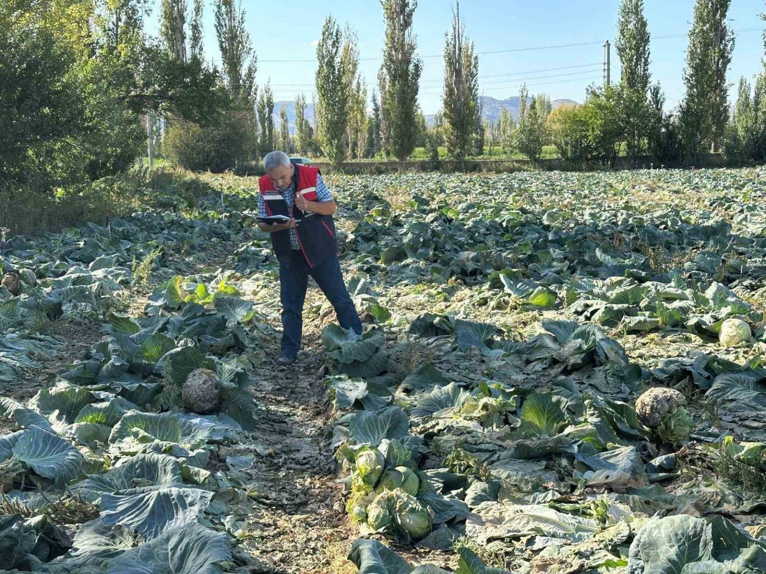 tarim-urunlerinin-tarladaki-kalite-kontrolleri-devam-ediyor