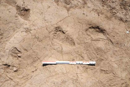 bakan-ersoy-7-bin-yil-oncesinden-gunumuze-uzanan-adimlar-hatayda-kesfedildi