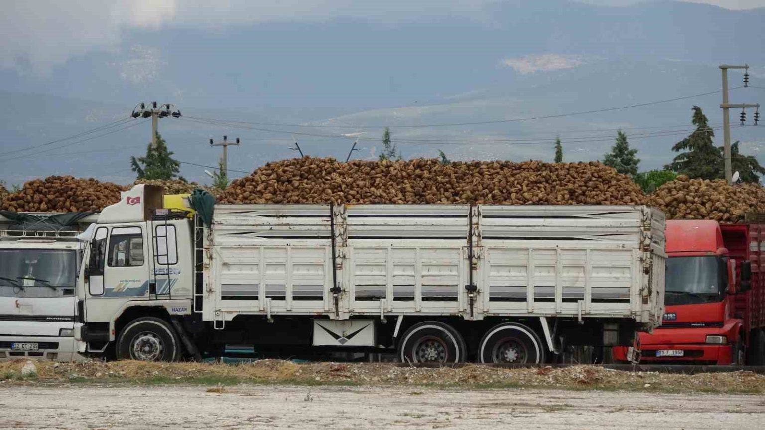 burdurda-yaklasik-700-bin-ton-seker-pancari-islenecek