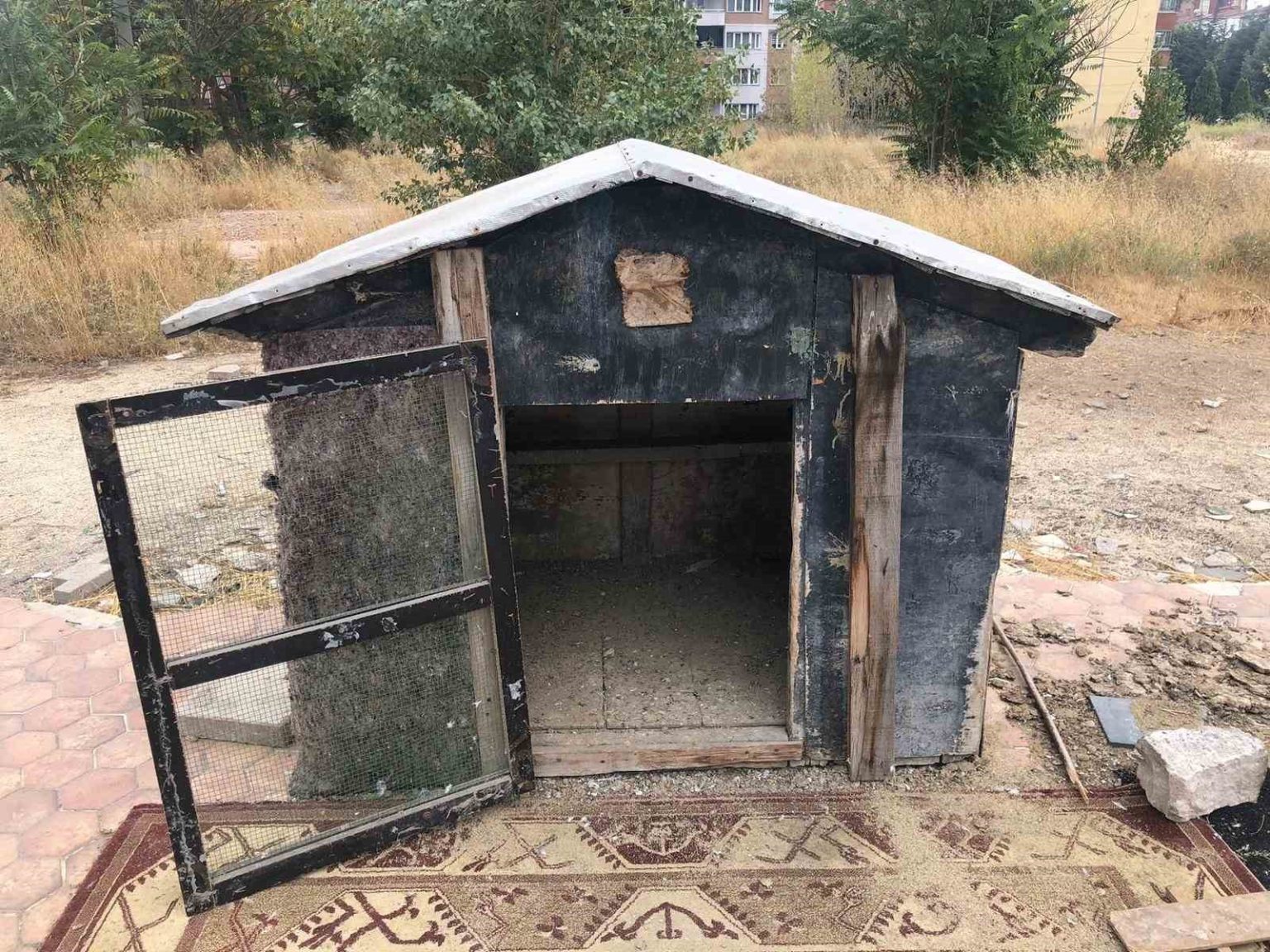 cinayete-kurban-giden-sahsin-kuslari-besledigi-kafes-bos-kaldi
