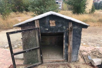 cinayete-kurban-giden-sahsin-kuslari-besledigi-kafes-bos-kaldi