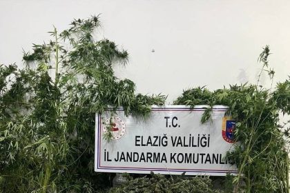 elazigda-uyusturucuyla-mucadele-1-tutuklama