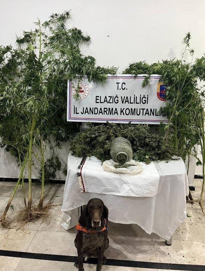 elazigda-uyusturucuyla-mucadele-1-tutuklama