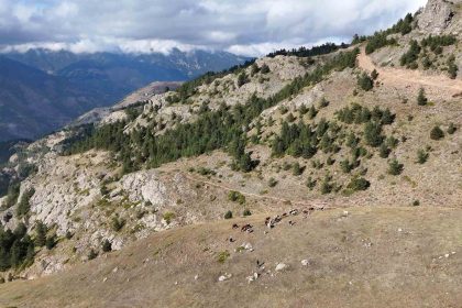 gumushanede-genc-muhtarin-turkiyeye-ilham-veren-basari-hikayesi