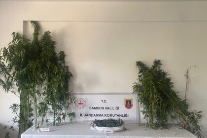 jandarmadan-iki-ayri-uyusturucu-operasyonu-3-gozalti