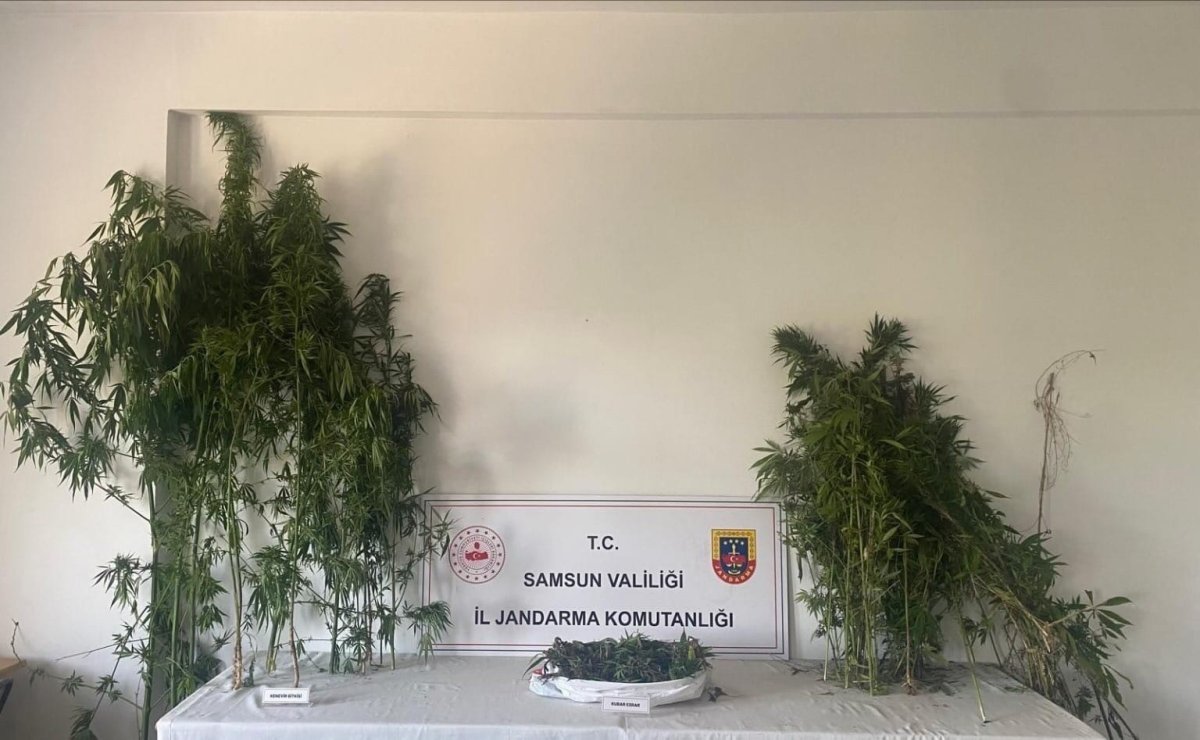 jandarmadan-iki-ayri-uyusturucu-operasyonu-3-gozalti