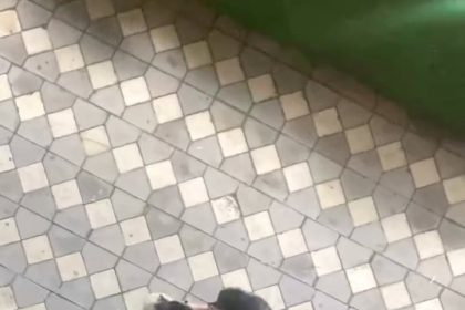 kadinlarin-sac-basa-birbirine-girdigi-kavgasi-kameraya-yansidi