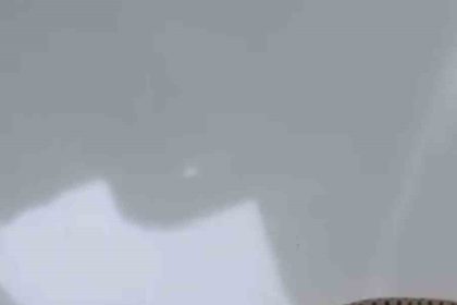 mardinde-apartmanin-8inci-katinda-yilan-panigi