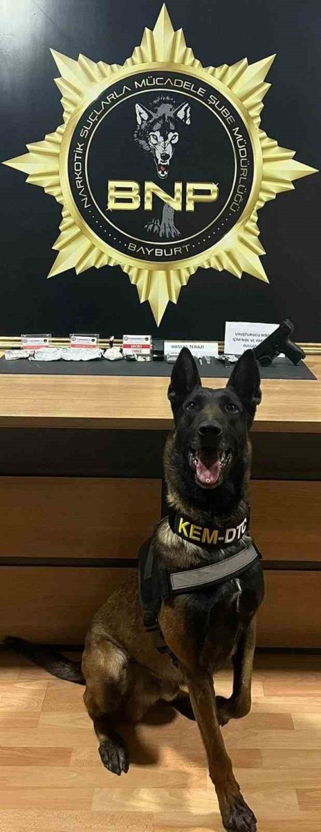 narkotik-kopegi-pablo-bayburtta-uyusturucu-tacirlerine-gecit-vermiyor