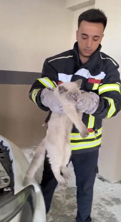 osmaniyede-arac-motoruna-sikisan-kedi-kurtarildi