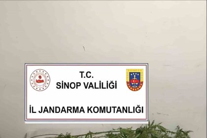 sinopta-kenevir-ve-kubar-esrar-ele-gecirildi