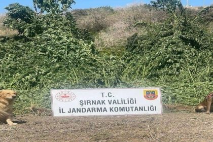 sirnakta-11-milyon-liralik-kacakcilik-olayi-onlendi