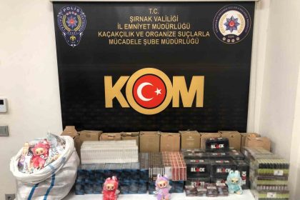 sirnakta-narkotik-ve-kacakcilik-operasyonunda-2-tutuklama