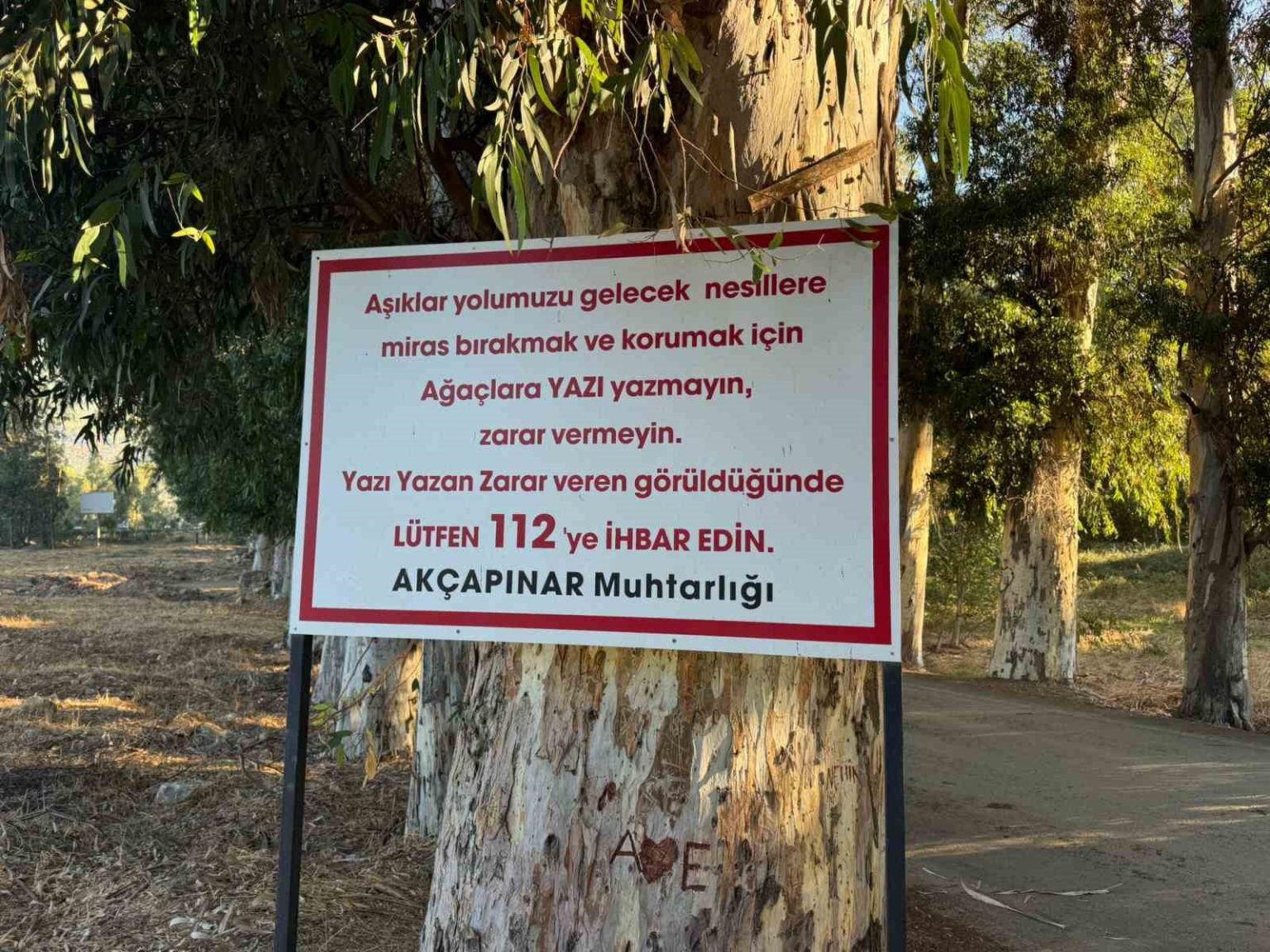 agaclara-yazi-yazanlari-tabela-ile-uyardi