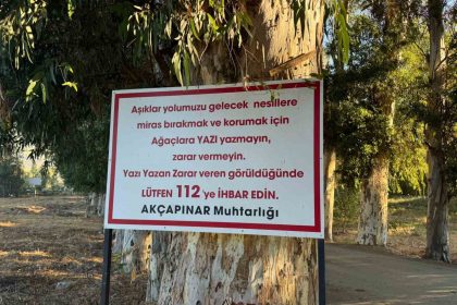agaclara-yazi-yazanlari-tabela-ile-uyardi