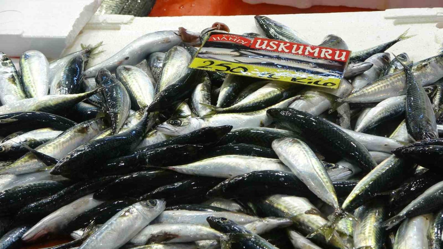 balikcilardan-mujde-fiyatlar-dustu-ekimde-bolluk-bekleniyor