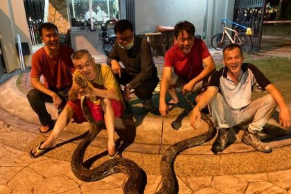 bangkokta-yilda-30-binden-fazla-yilan-yakalaniyor