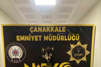 canakkalede-uyusturucu-operasyonunda-2-tutuklama