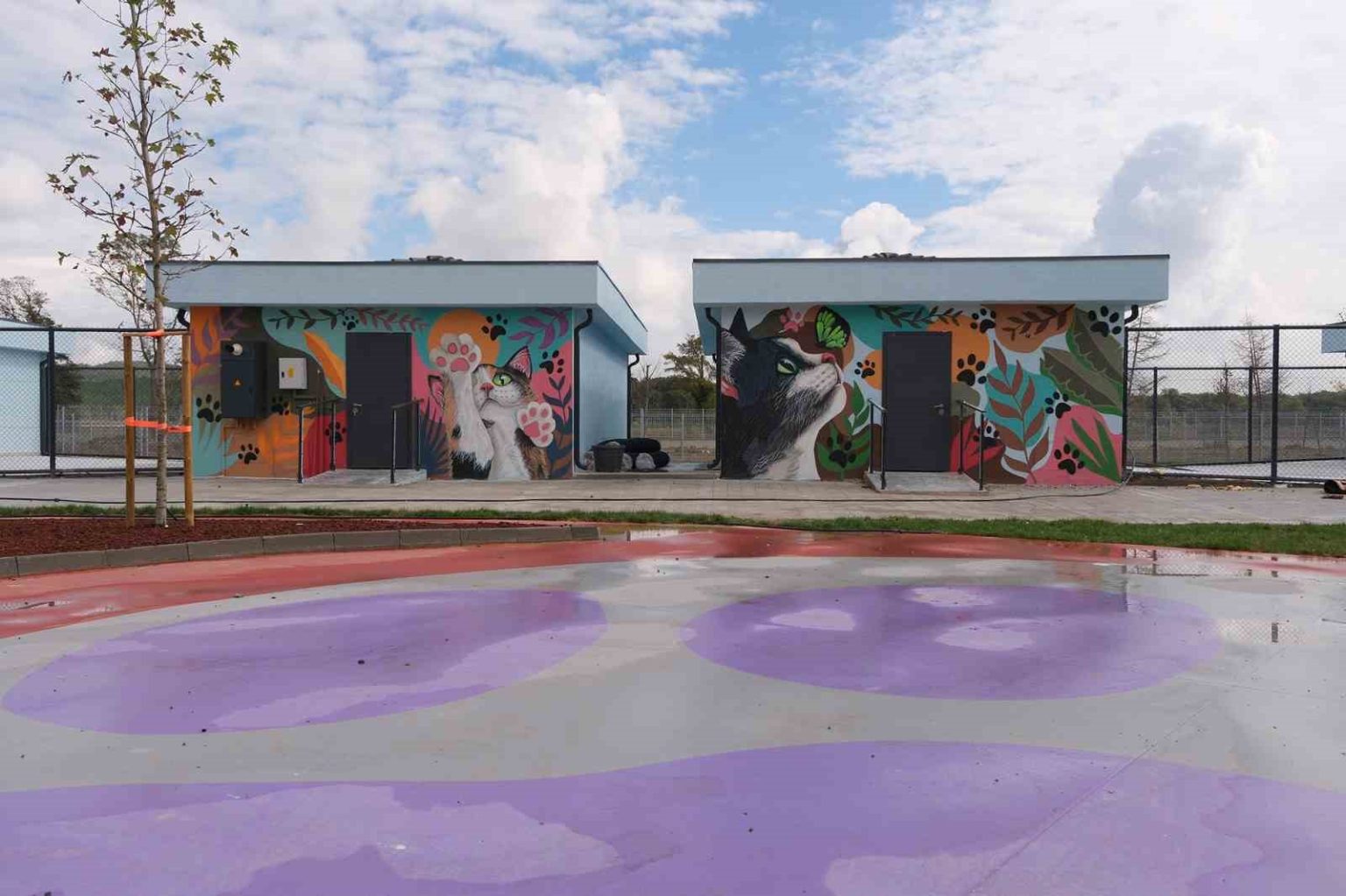 dogal-yasam-kampusune-anlam-katan-grafiti-sanati
