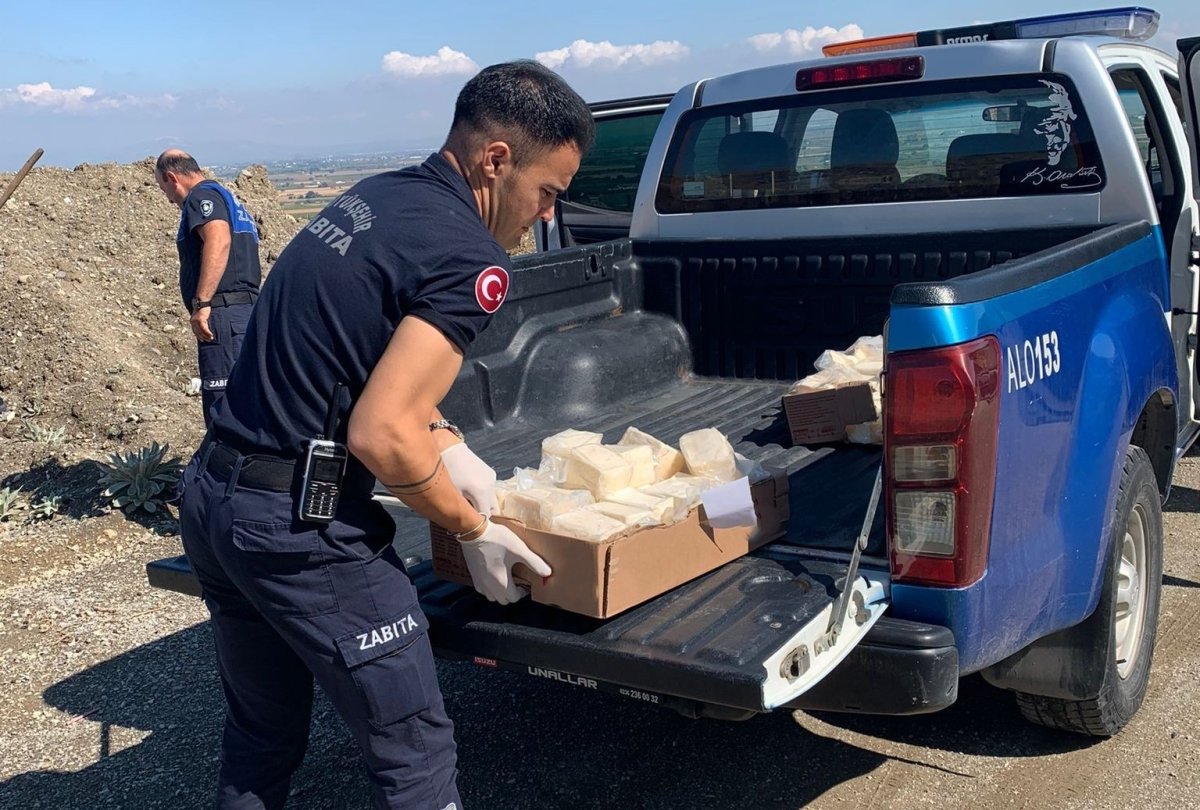 manisada-49-kilo-bozuk-peynir-imha-edildi