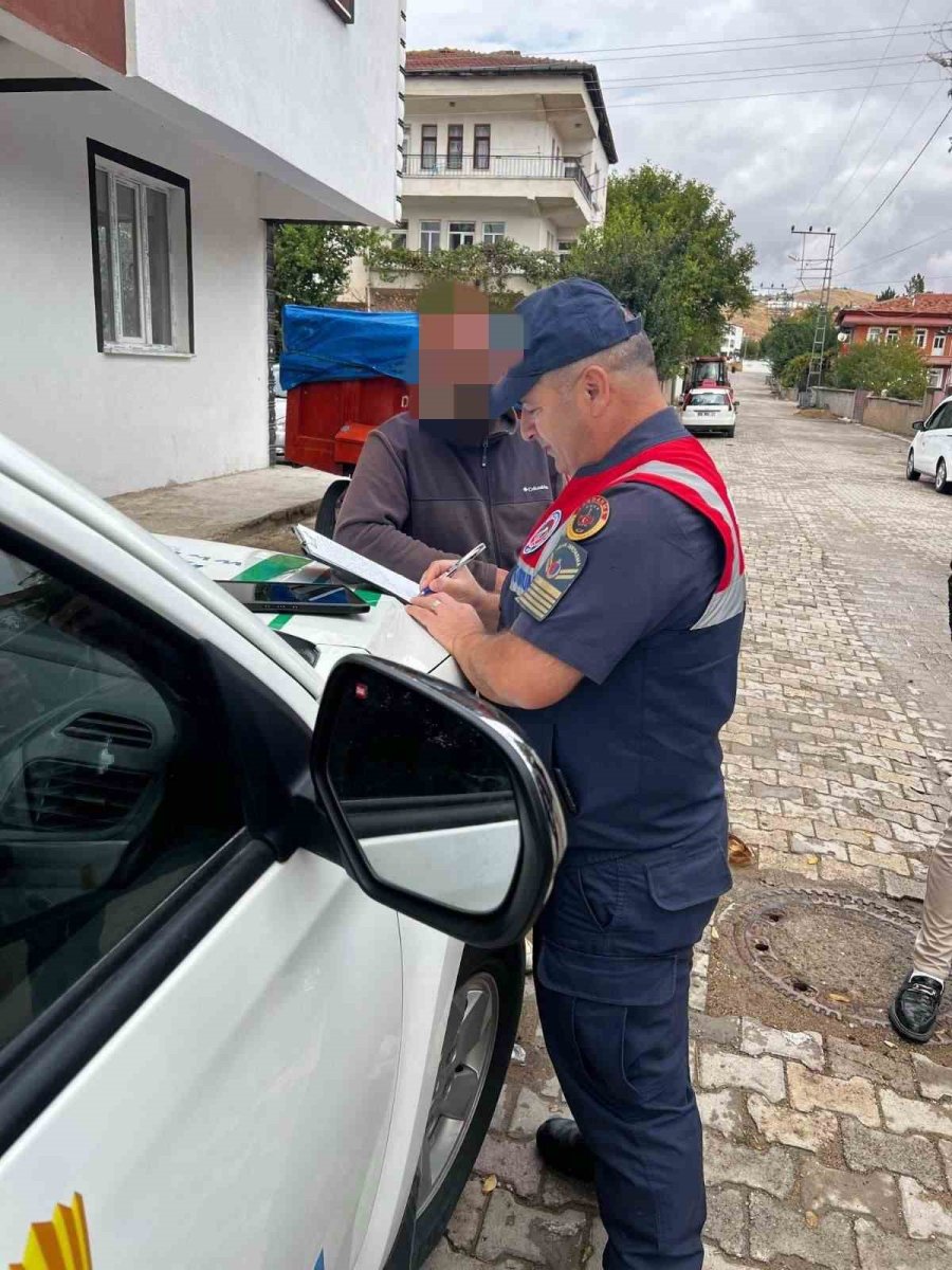 pitbull-besledi-16-bin-lira-ceza-yedi